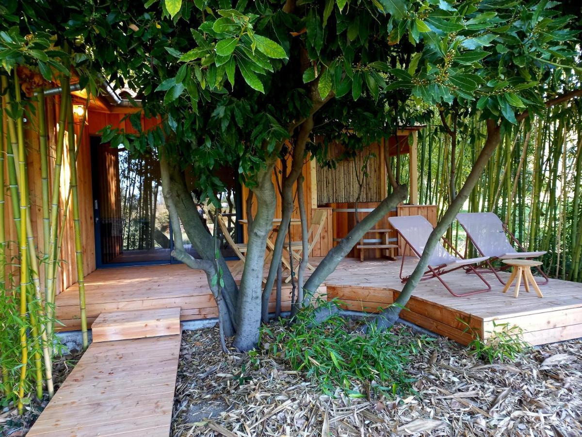 Maisonette Et Spa Bois La Bégude-de-Mazenc 외부 사진